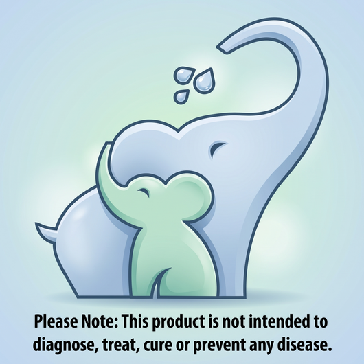 Zuzu™ PureMist Cleaner